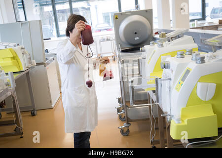 Hamburg, Deutschland. 17. November 2016. Ein Mitarbeiter hat eine Tasche von Blutspenden aus der Seperator in der Produktionsabteilung der Blutspendedienst der DRK-Nord-Ost in Luetjensee in der Nähe von Hamburg, Deutschland, 17. November 2016. Foto: Christian Charisius/Dpa/Alamy Live News Stockfoto