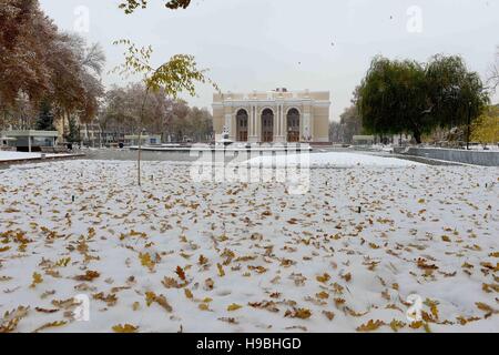 Taschkent. 21. November 2016. Foto aufgenommen am 21. November 2016 zeigt Schnee in Taschkent, Usbekistan. Die Stadt sah es schneit es heuer am Montag. Bildnachweis: Sadat/Xinhua/Alamy Live-Nachrichten Stockfoto