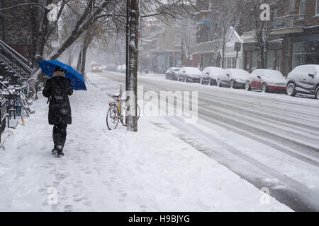 Montreal, Kanada. 21. November 2016. Erste Schnee der Saison trifft die Stadt. Fußgänger auf Laurier Straße. Bildnachweis: Marc Bruxelle/Alamy Live-Nachrichten Stockfoto