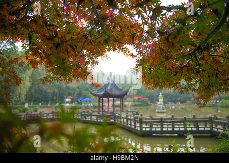 Nanjing, Nanjing, China. 21. November 2016. Nanjing, CHINANovember 21