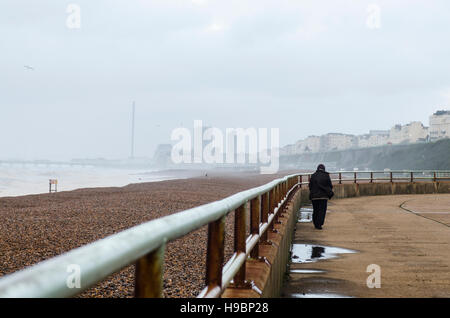 Brighton, England, Vereinigtes Königreich. 22. November 2016. Brighton, East Sussex. 22. November 2016. Großbritannien Wetter. Starker Wind, Seegang und kräftige Schauer sind Großbritanniens Süd Kosten in Brighton nach Sturm Angus Misshandlung. Südliche Küste Stürme haben den ganzen Tag prognostiziert, und rund 40 Hochwasserwarnungen gibt es im ganzen Land. Bildnachweis: Francesca Moore/Alamy Live-Nachrichten Stockfoto