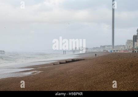 Brighton, England, Vereinigtes Königreich. 22. November 2016. Brighton, East Sussex. 22. November 2016. Großbritannien Wetter. Starker Wind, Seegang und kräftige Schauer sind Großbritanniens Süd Kosten in Brighton nach Sturm Angus Misshandlung. Südliche Küste Stürme haben den ganzen Tag prognostiziert, und rund 40 Hochwasserwarnungen gibt es im ganzen Land. Bildnachweis: Francesca Moore/Alamy Live-Nachrichten Stockfoto