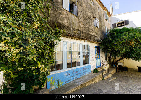 La Boite ein Fleurs, einem typisch provenzalischen Shop in das malerische Südfrankreich Dorf Ramatuelle, Var, Frankreich Stockfoto