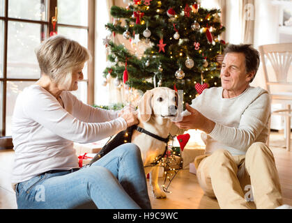 Älteres Paar mit Hund vor Weihnachtsbaum Stockfoto