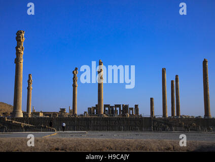 Allgemeiner Überblick über die Überreste der Ruinen der Apadana in Persepolis, Fars Provinz, Marvdasht, Iran Stockfoto