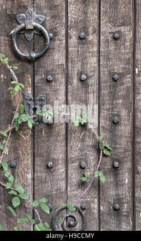 Kirche-Tür mit Brombeeren, England, UK Stockfoto