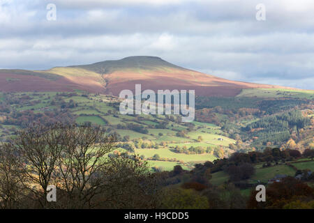 Herbst über Zuckerhut in Usk Valley, Brecon Beacons National Park Monmouthshire, South Wales, UK Stockfoto