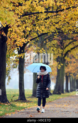 Wanderer im Hyde Park, London trotzen den Regen Sturm Angus weiterhin in ganz Großbritannien zu fegen. Stockfoto