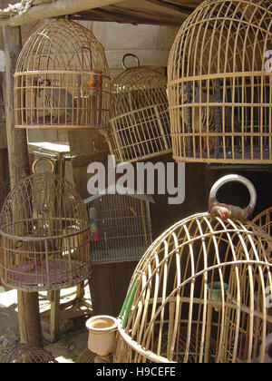 28. Mai 2004 Chukar Rebhühner in handgefertigten Holzkäfigen auf dem Vogelmarkt, dem Ka Farushi Basar, in Kabul, Afghanistan. Stockfoto