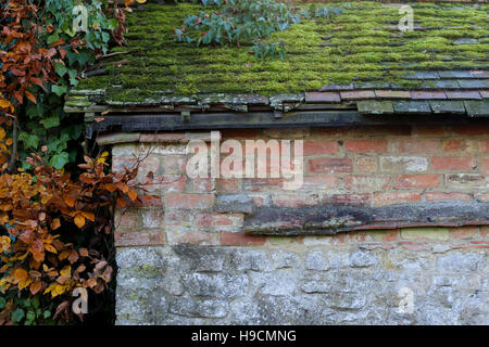 Alte Dachziegel abgedeckt mit Moos und Laub auf alten Ziegel und Stein Mauer, Herbst Blätter auf einer Seite Stockfoto