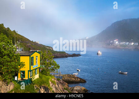 Die Hafeneinfahrt und Fort Amherst im Nebel von der Batterie, St. John's, Neufundland und Labrador, Kanada. Stockfoto