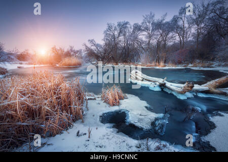 Weihnachten Hintergrund mit verschneiten Wald. Winterlandschaft mit schneebedeckten Bäumen, schönen zugefrorenen Fluss und Büsche bei Sonnenuntergang. Winter Stockfoto