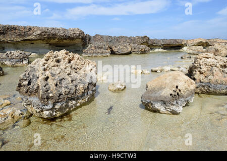 Erodierte felsigen Strand am Kap Drepanon, Agios Georgios, Pegeia, Zypern Stockfoto