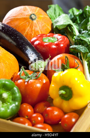 Obst und Gemüse wie Tomaten, Kürbis, Melonen, Chili und Trauben angeordnet in einer Gruppe, natürliche Stillleben für gesunde Ernährung Stockfoto