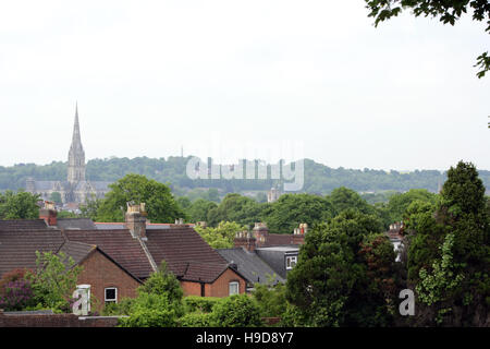 Kathedrale von Salisbury angesehen über Dächer. Stockfoto