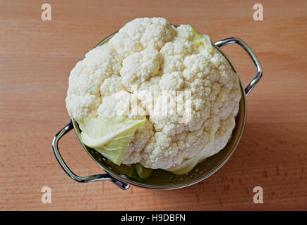 Nahaufnahme von ganzen Blumenkohl roh ungekochte Gemüse Gemüse Gemüse In Kollander Stockfoto