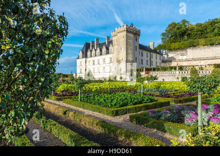 Schloss "Château de Villandry" (zentral-westlichen Frankreich) und einen Gemüsegarten. Stockfoto