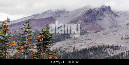 Mount Shasta und Kiefer Bäume aus grau Butte Trail, Siskiyou County, Kalifornien, USA Stockfoto