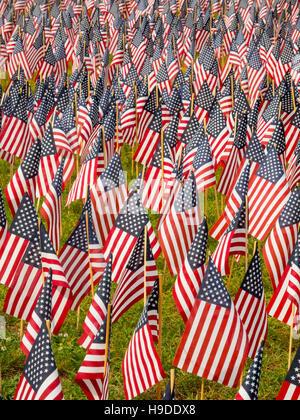 Insgesamt 37.000 US-Flaggen sind in Boston, Massachusetts bekämpfen Todesfälle in allen Kriegen unter Beachtung des Memorial Day Gedenken gemeinsam gepflanzt. Stockfoto