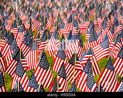 Insgesamt 37.000 US-Flaggen sind in Boston, Massachusetts bekämpfen Todesfälle in allen Kriegen unter Beachtung des Memorial Day Gedenken gemeinsam gepflanzt. Stockfoto