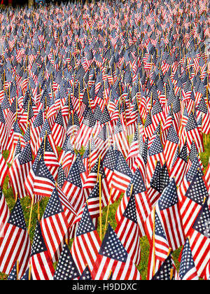 Insgesamt 37.000 US-Flaggen sind in Boston, Massachusetts bekämpfen Todesfälle in allen Kriegen unter Beachtung des Memorial Day Gedenken gemeinsam gepflanzt. Stockfoto