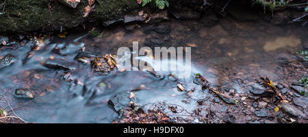 Wasser über Kiesel Stockfoto