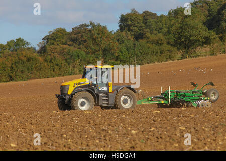 JCB Fastrack, Baureihe 3000, Traktor, Erntegutfeld, Egge, Vorbereitung, Landwirtschaft, Kultur, ländlich, Land, Pflug, Pflug, Landwirtschaft, Ackerbau, fruchtbar, Boden. Stockfoto