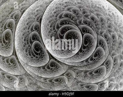 Schöne schwarze und weiße Hintergrund computergenerierte Fraktalbild Stockfoto