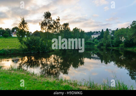 Zwettl: Karpfenteich, Schloss Rosenau Schloss, Waldviertel, Niederösterreich, Niederösterreich, Österreich Stockfoto