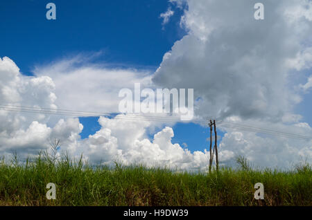 Alte hölzerne Elecric Pol und Stromleitungen Stockfoto