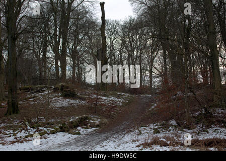 catkin Braes Mountainbike-Park im winter Stockfoto