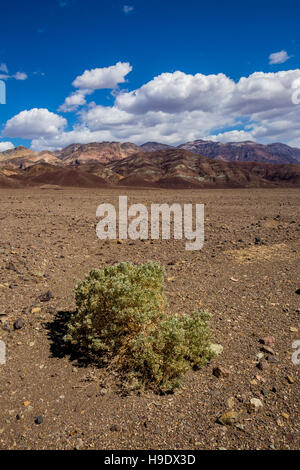 Wüstenlandschaft, entlang, Badwater Road, Death Valley Nationalpark, Death Valley, Kalifornien Stockfoto