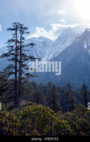 Das Lachung-Tal in der Nähe von Lachung Dorf in Nord-Sikkim, Indien. Stockfoto