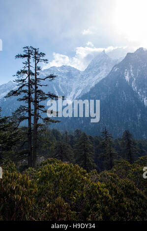 Das Lachung-Tal in der Nähe von Lachung Dorf in Nord-Sikkim, Indien. Stockfoto