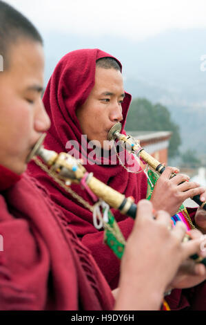 Zwei junge Mönche Schlag Tempel Hörner im Kloster Tawang Tawang, Indien. Stockfoto