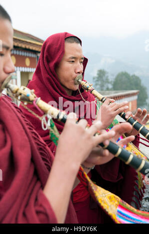 Zwei junge Mönche Schlag Tempel Hörner im Kloster Tawang Tawang, Indien. Stockfoto