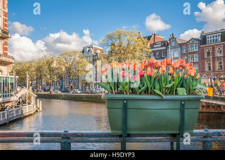 Sonnigen Straßen der schönen Großstadt, Amsterdam, Niederlande Stockfoto