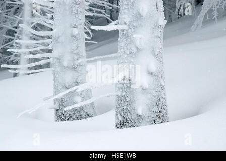 Winterlandscape im Nationalpark Kalkalpen, Oberösterreich, Österreich Stockfoto