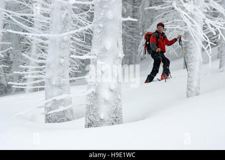 Ski-Wanderer im Nationalpark Kalkalpen, Oberösterreich, Österreich Stockfoto