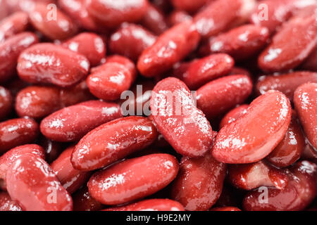 Dosen rote Kidney-Bohnen In Schüssel weiß Stockfoto