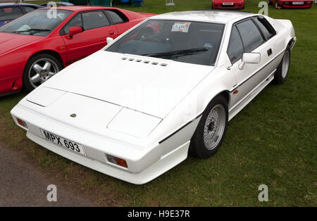 Eine weiße, 1986, Lotus Esprit S3, auf dem Display in der Lotus-Fahrer Club Zone der Silverstone Classic 2016 Stockfoto