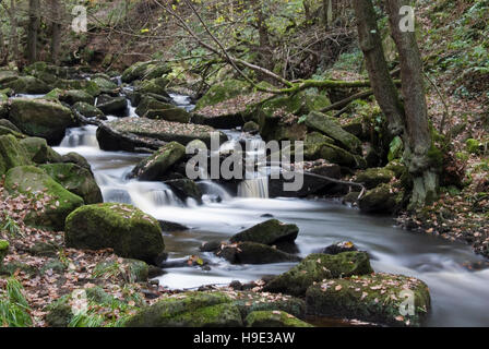 Derbyshire, Großbritannien - 24 September 2016: Burbage Bach fließt durch den felsigen Wald Tal bei padley Schlucht in den Peak District Stockfoto