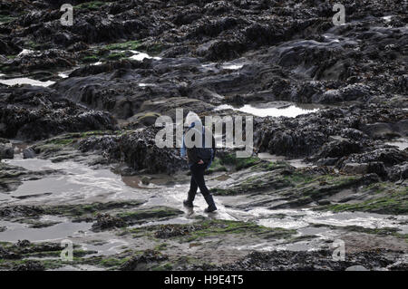Eine Frau, die einen leeren Strand Gyllyngvase Strand in Falmouth, Cornwall, UK im Winter entlang spazieren. Stockfoto