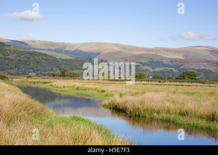 Ynys Hir RSPB Naturschutzgebiet neben der Dyfi Mündung in Ceredigion, Mid Wales, UK Stockfoto