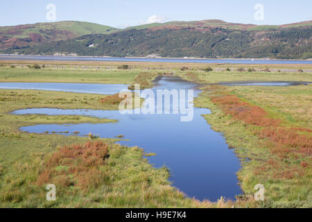 Ynys Hir RSPB Naturschutzgebiet neben der Dyfi Mündung in Ceredigion, Mid Wales, UK Stockfoto