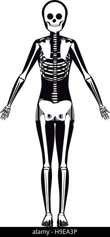Silhouette Frau System Knochen mit Knochen-Vektor-illustration Stock Vektor