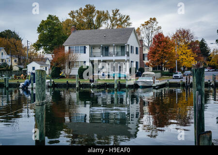 Haus und Herbstfarbe entlang des Hafens in St. Michaels, Maryland. Stockfoto