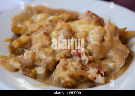 Hummer-Poutine serviert Hallen Hafen Lobster Pound in Nova Scotia, Kanada. An der Spitze der Hummer-Sauce Pommes Frites. Stockfoto