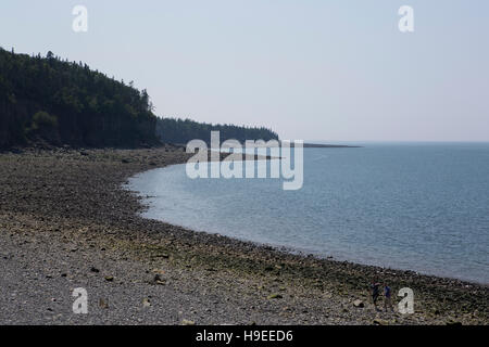 Der steinige Strand am Hafen von Hallen in Nova Scotia, Kanada. Der Nordatlantik wäscht den Strand. Stockfoto