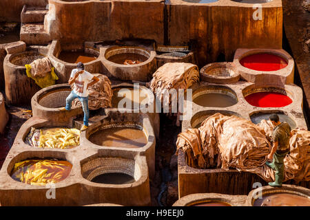 Chouwara Gerberei In der Medina von Fes, Fes el Bali, Marokko Stockfoto